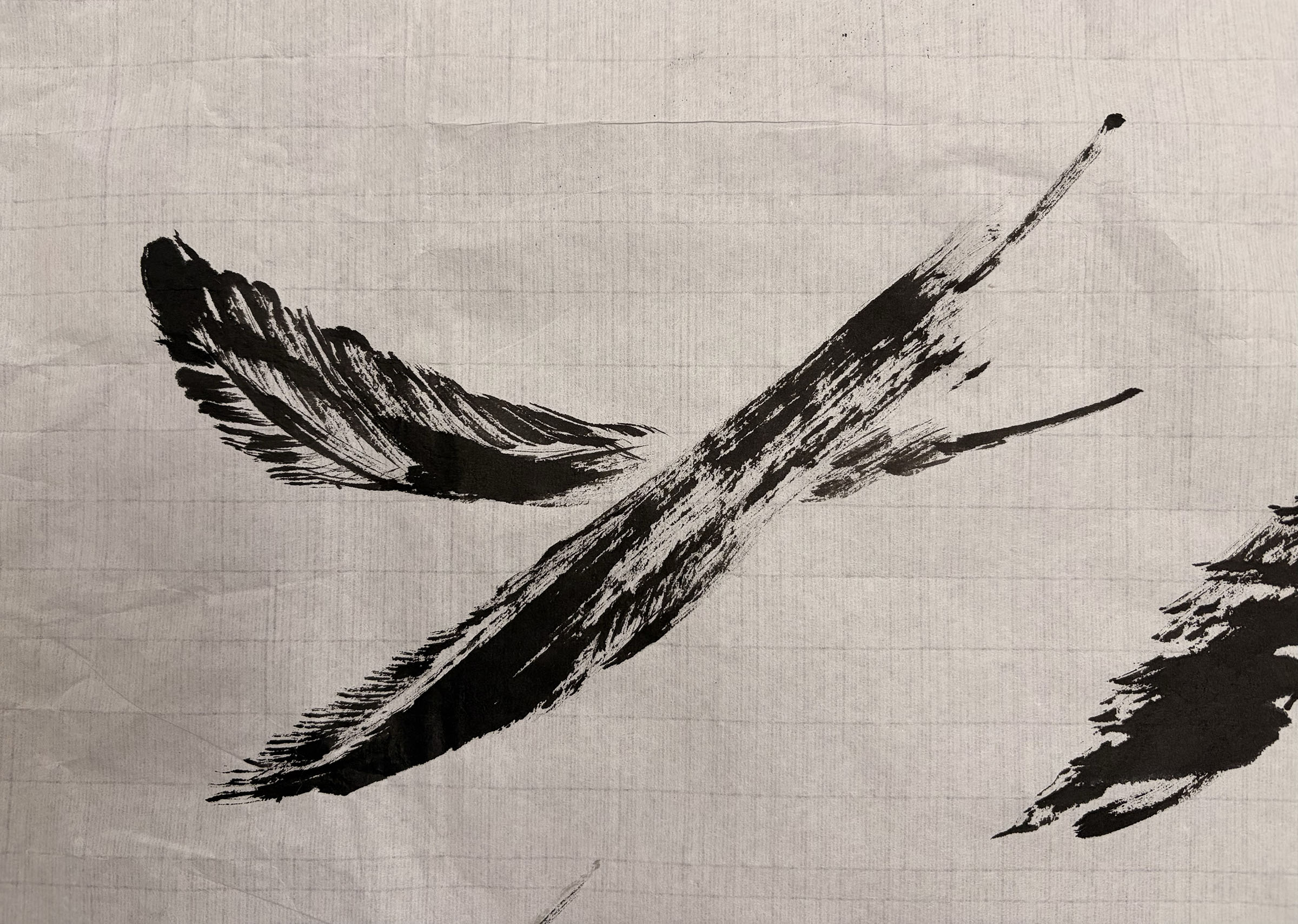 Feather Brushwork, 墨で描く鳥の羽